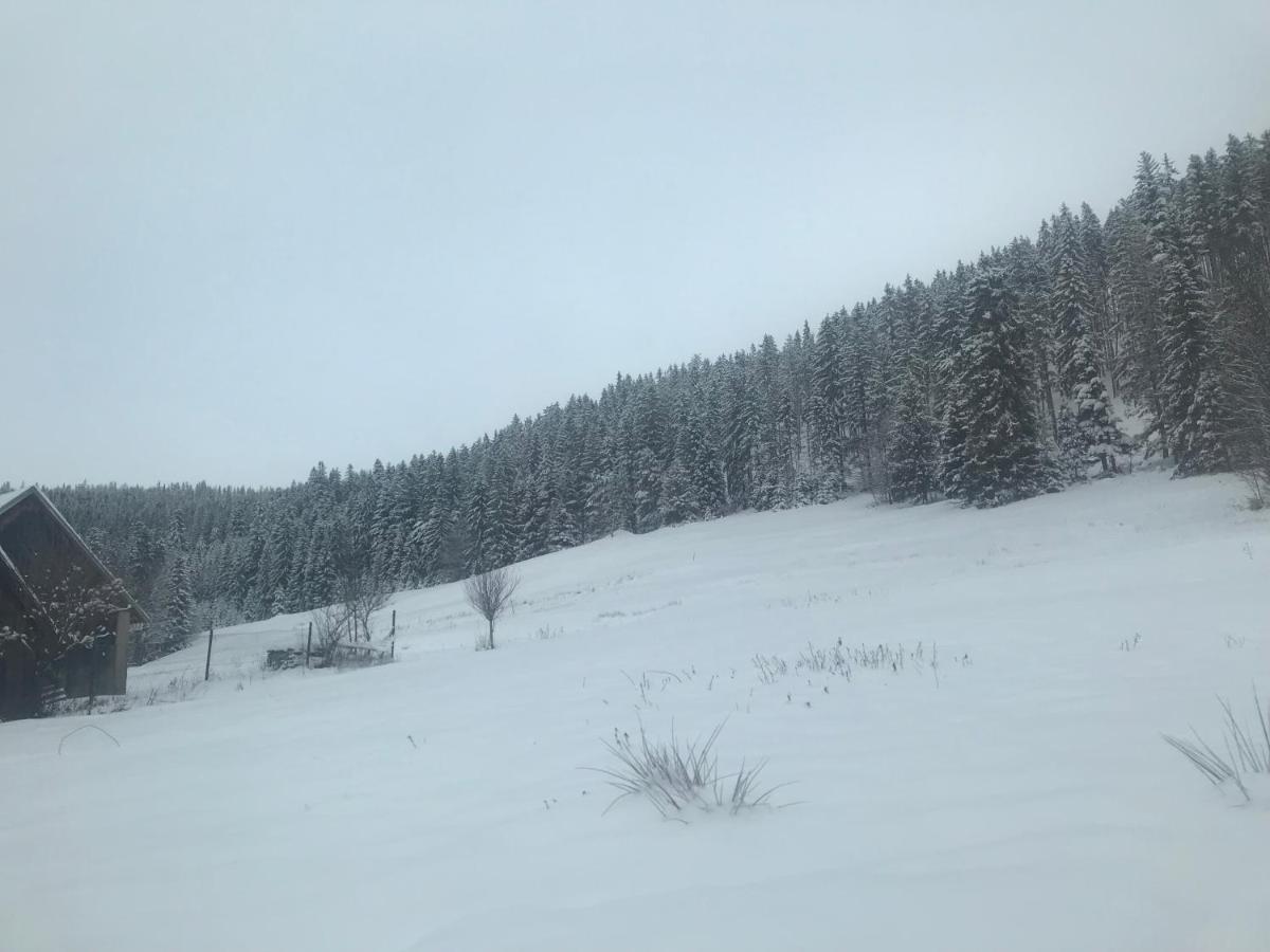 Oaza Soblowka Chalet Sablowka