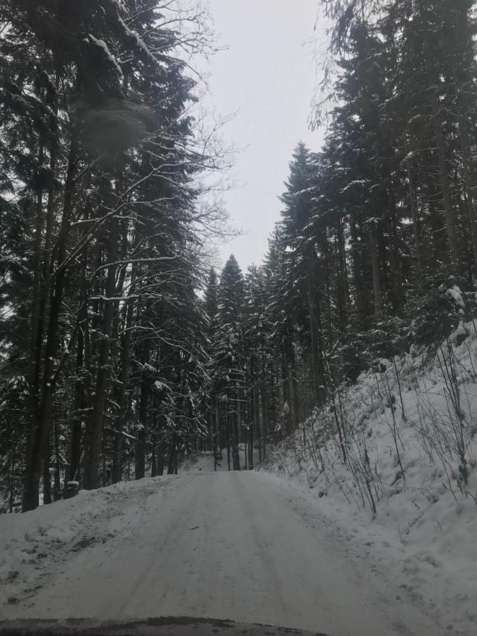 Oaza Soblowka Chalet *