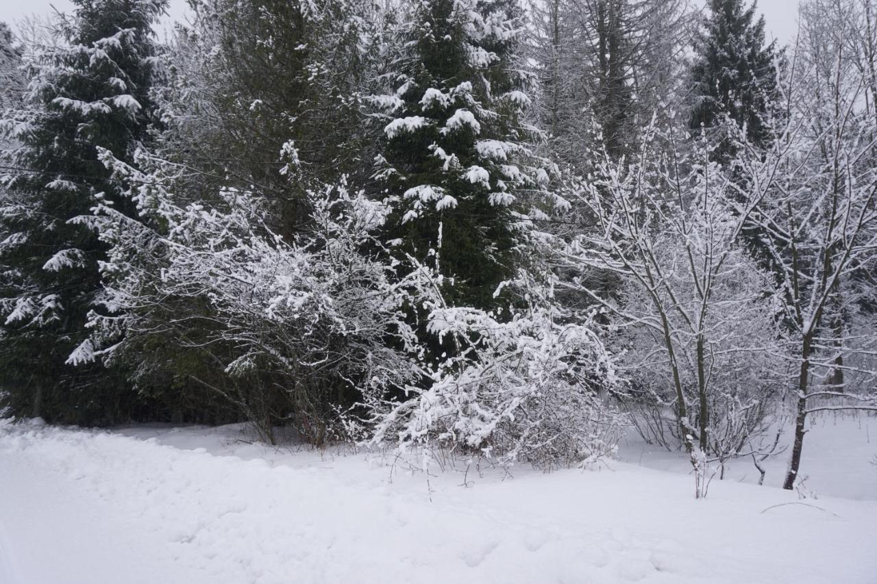 Oaza Soblowka Chalet