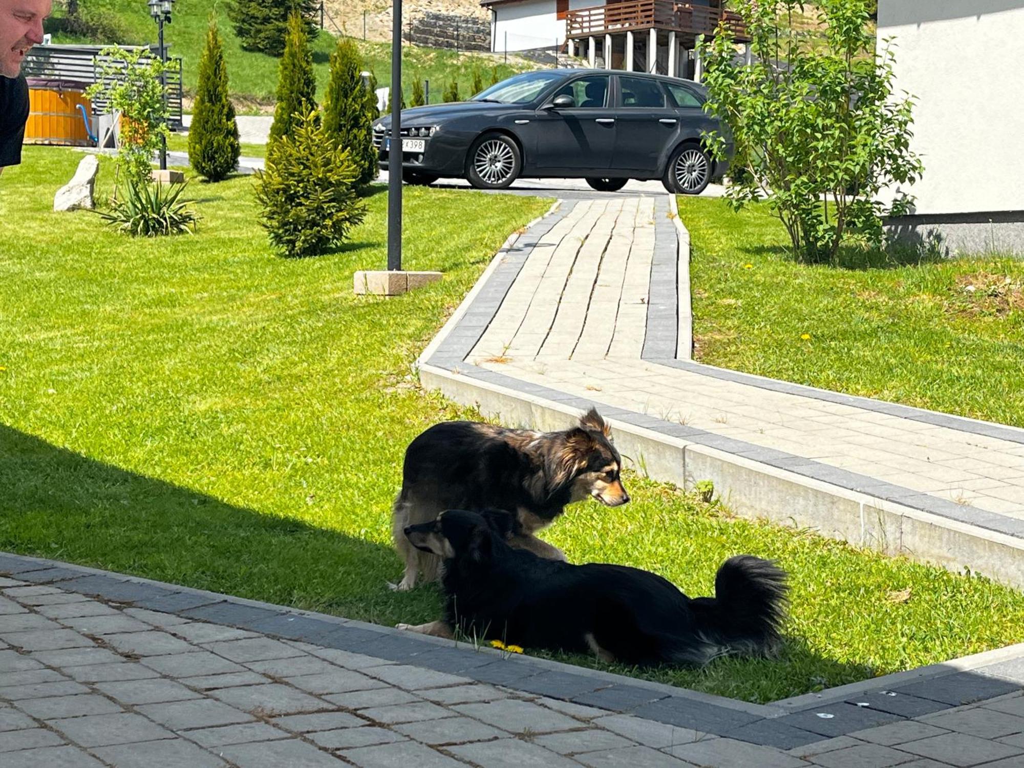 Oaza Soblowka Chalet Sablowka