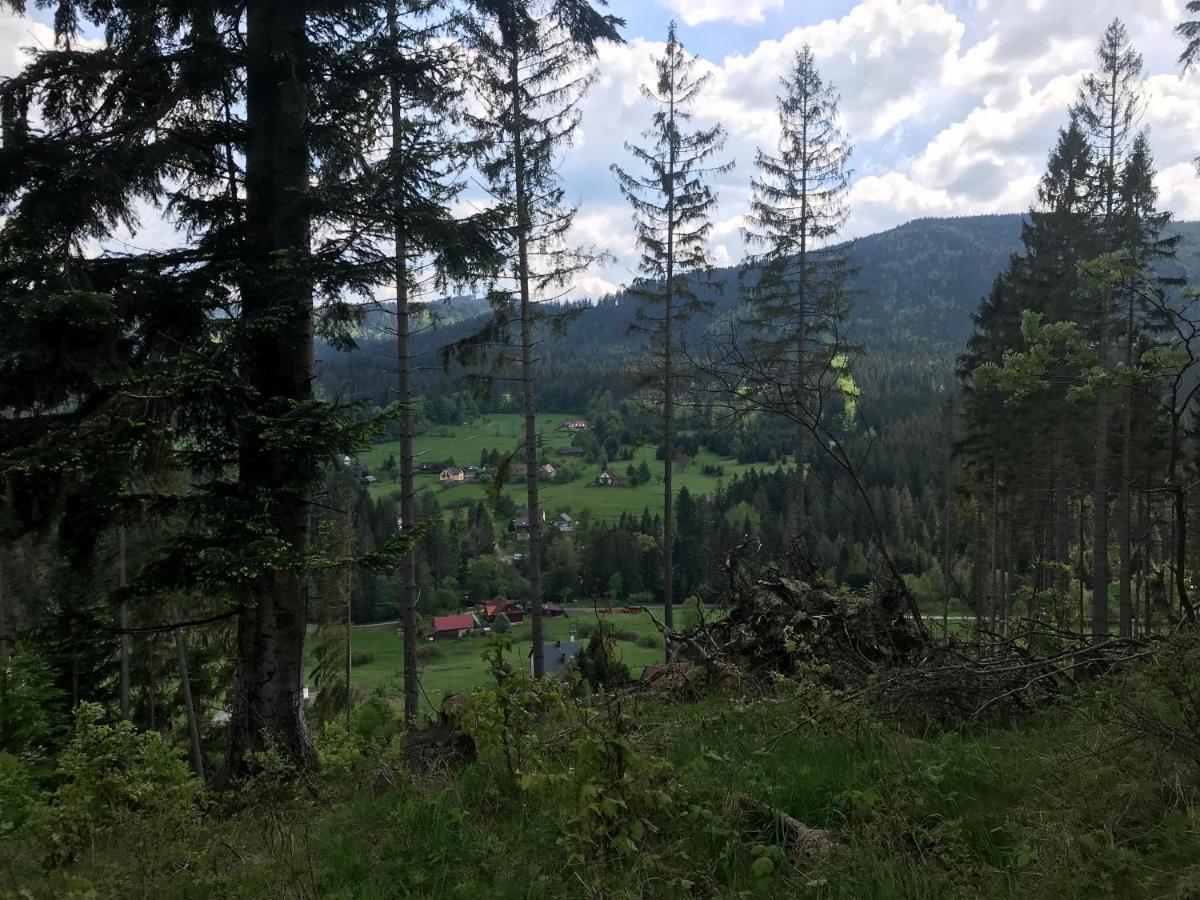 Chalet Oaza Soblowka